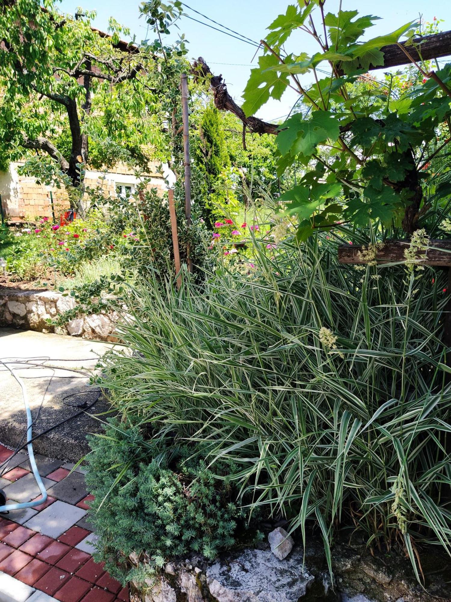 Guest House Bee Високо Экстерьер фото