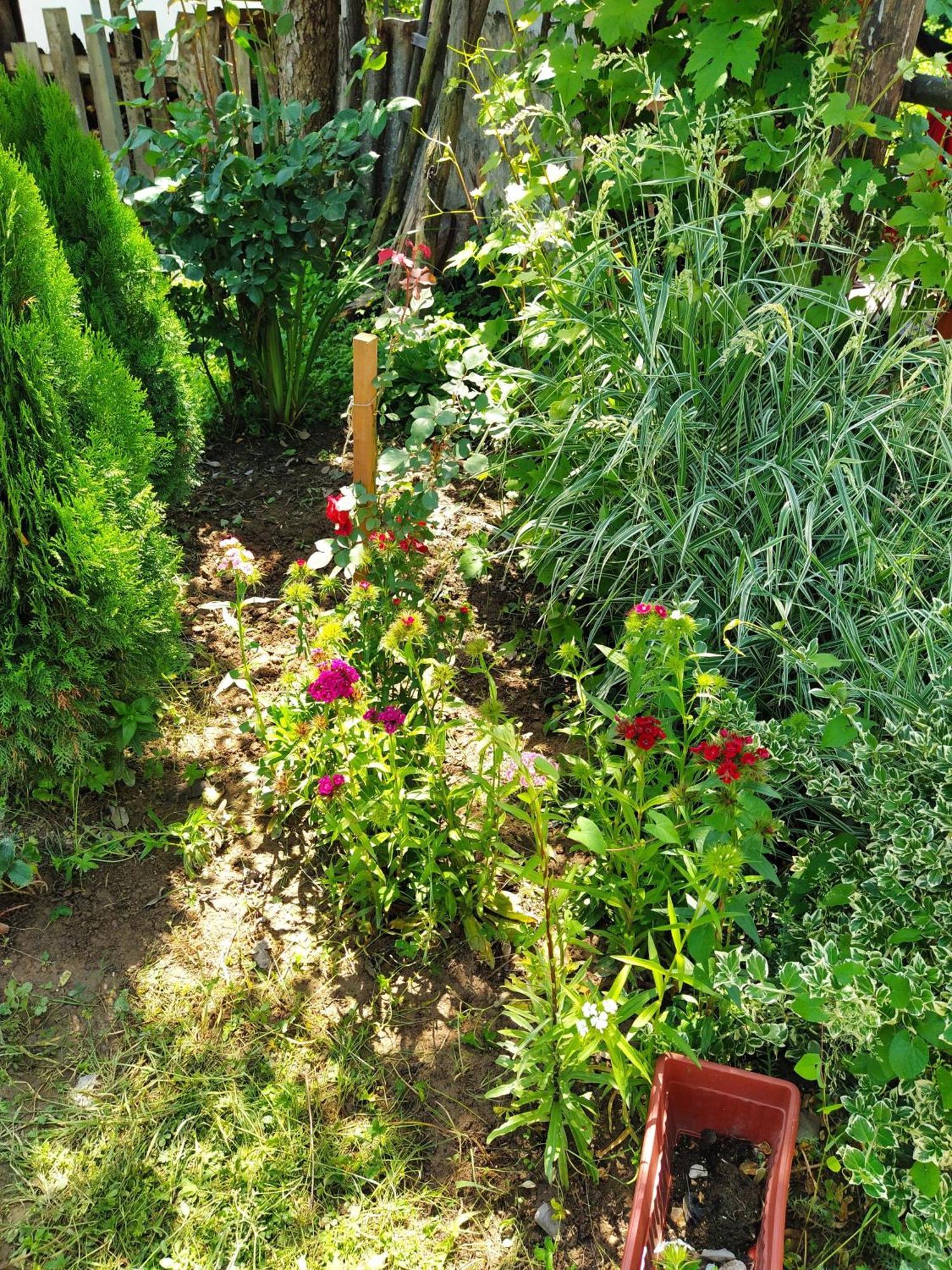 Guest House Bee Високо Экстерьер фото